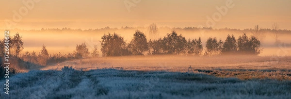 Fototapeta the first frost and fog at dawn in early autumn.