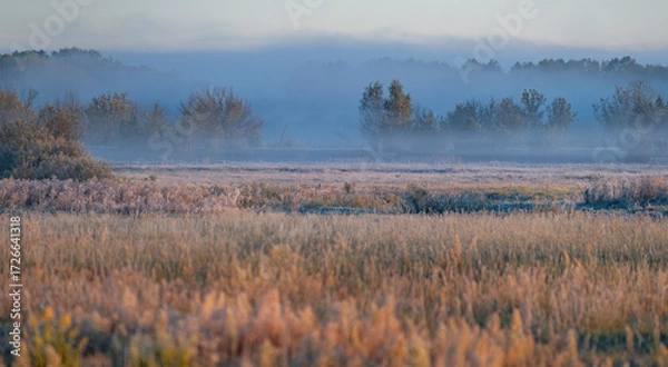 Fototapeta the first frost and fog at dawn in early autumn.