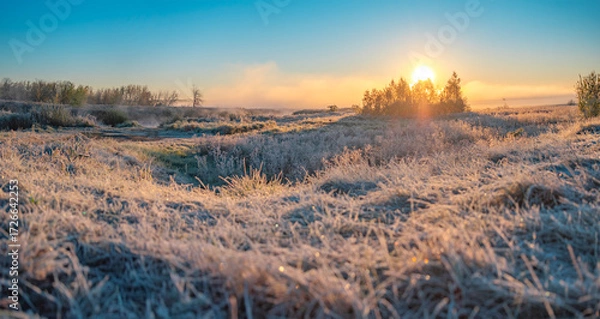Fototapeta the first frost and fog at dawn in early autumn.