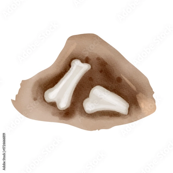 Fototapeta A watercolor illustration of discovered bones. Ancient skeletal remains painted in soft tones. Perfect for science themes.