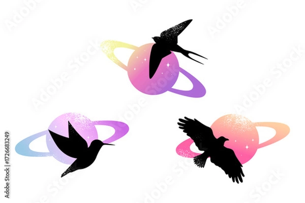 Fototapeta Set of celestial emblems with birds on Saturn planet silhouette. Vector illustration