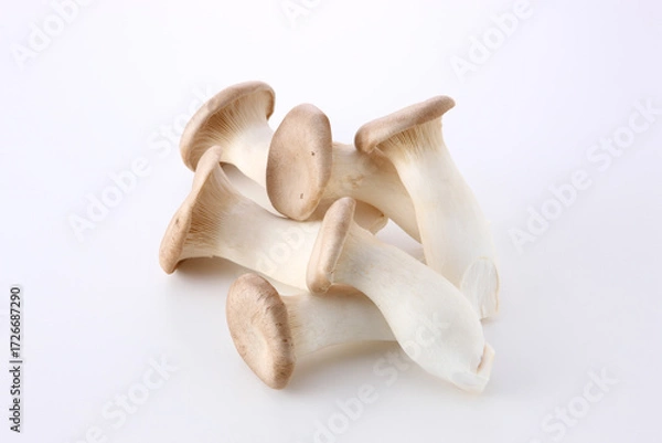 Obraz エリンギ　白バック