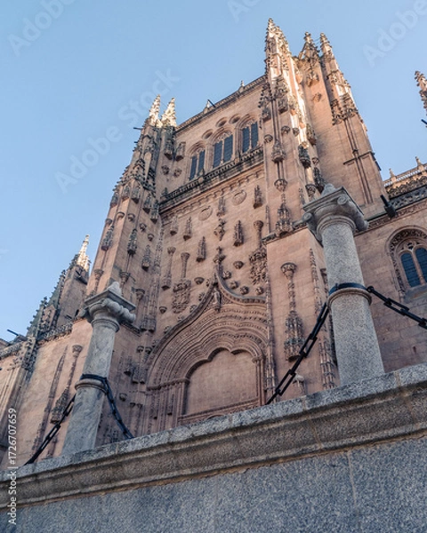 Fototapeta Exterior view of Salamanca cathedra. Facade of Salamanca cathedral in spain, gothic and renaissance styles with dome and red entrance, UNESCO site