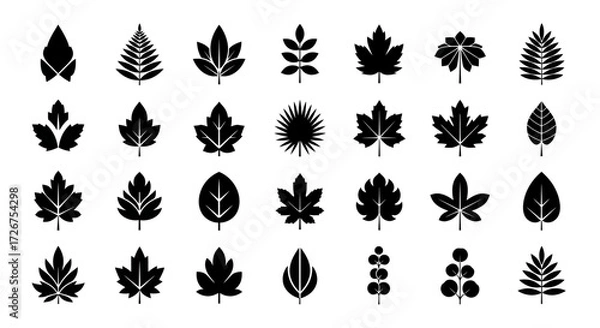 Fototapeta Collection of Various Stylized Black Leaf Icons on White Background