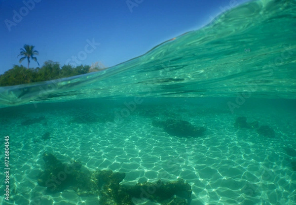 Fototapeta Exotic Island with Coral Reef in the Caribbean Sea