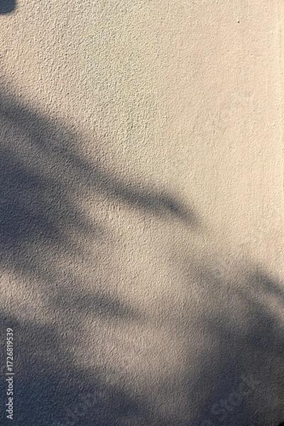 Fototapeta Shadow of branches on plaster wall background