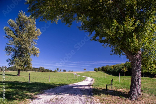 Obraz Landscape - rural area in summer