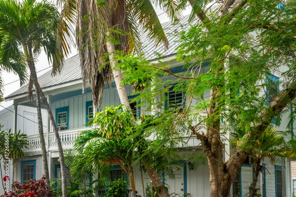 Fototapeta Conch house with a tropical backyard, vibrant colors architecture in Key West, Florida