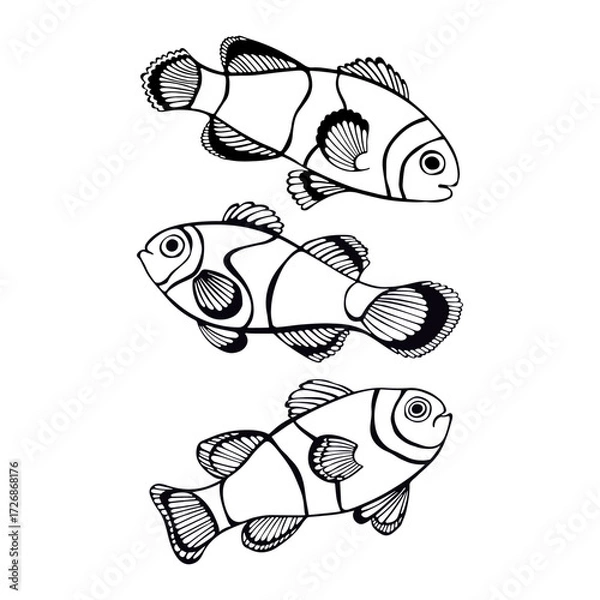 Obraz Clownfish. Vector isolated elements for design. Black outline characters on white. Perfect for menu decoration, invitation, card, poster and as a design element.