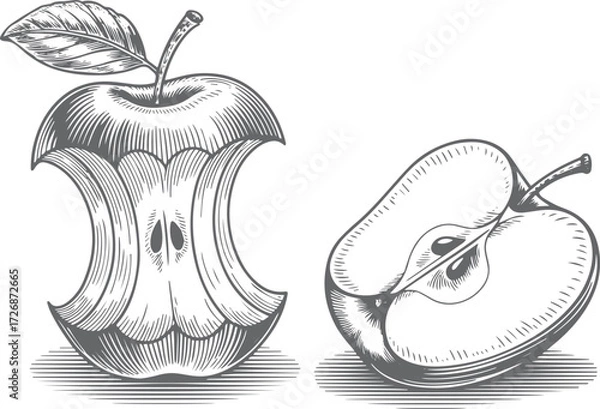 Fototapeta Vintage stipple engraving illustration of a bitten apple with detailed texture, isolated on transparent background for design use