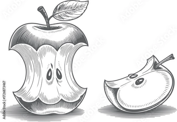 Fototapeta Vintage stipple engraving illustration of a bitten apple with detailed texture, isolated on transparent background for design use