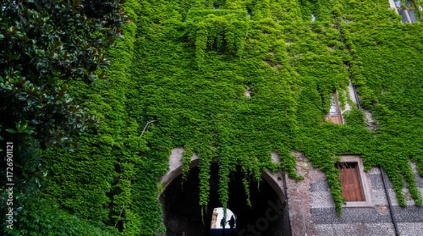 Fototapeta Historic stone building in Rome covered with dense green ivy, featuring wooden window shutters. Silhouetted figures are visible in the tunnel beneath the vibrant vertical greenery.