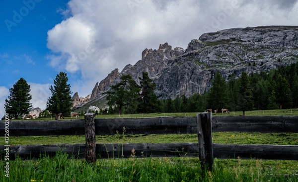 Fototapeta Scene with a rugged mountain backdrop. In the foreground, a wooden fence lines a lush meadow sprinkled with yellow wildflowers. Evergreen trees punctuate the landscape, and cows graze peacefully