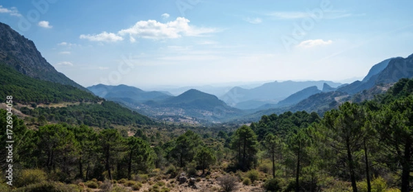 Fototapeta a sweeping view of mountain ranges covered with pine forests, under a hazy sky with soft clouds, stretching into the distance