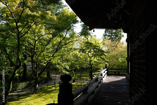 Fototapeta 楓の緑に覆われる京都の寺院の庭園