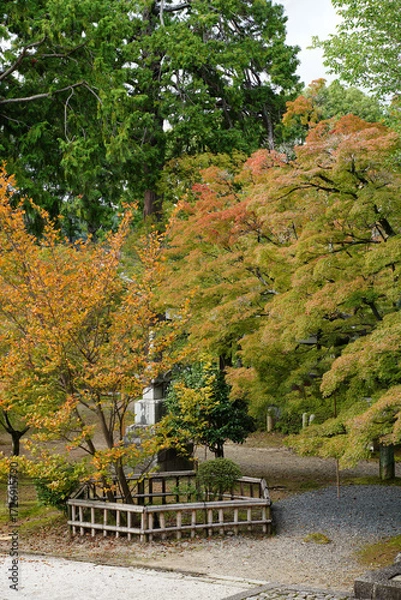 Fototapeta 木々の葉が色づいて秋の気配が感じられる京都の寺院の境内