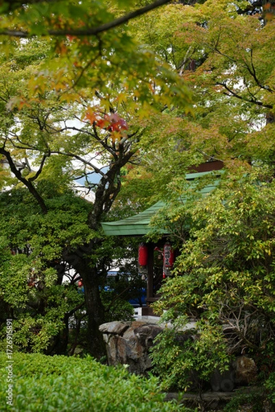 Fototapeta 木々の葉が色づいて秋の気配が感じられる京都の寺院の境内