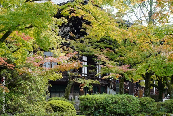 Fototapeta 木々の葉が色づいて秋の気配が感じられる京都の寺院の境内