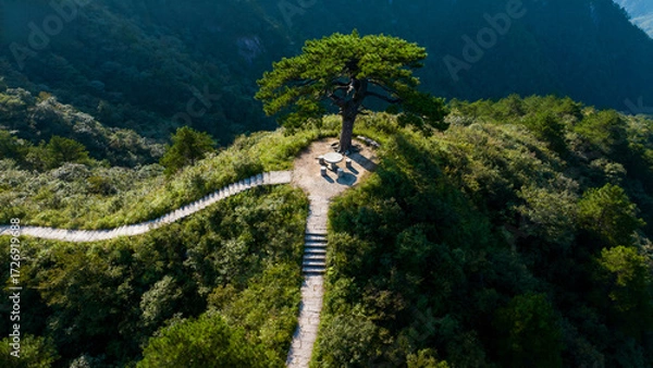 Fototapeta Aerial view of a winding pathway leading to a solitary tree atop a lush mountain ridge