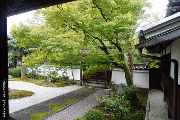 Fototapeta 木々の緑が美しい京都の寺院の境内の風景