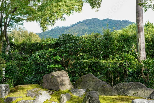 Fototapeta 木々の緑が美しい京都の寺院の境内の風景