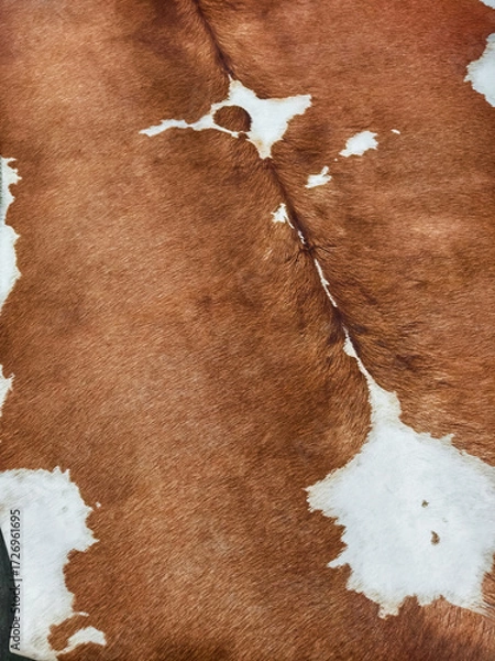 Fototapeta Detailed view of a brown and white cowhide showcasing natural patterns and textures in a warm light