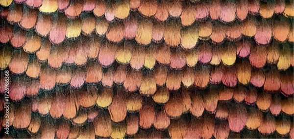 Fototapeta Stylish ornament from bird feathers ornament on fabric wallpaper. Interior design, bird feathers wallpaper texture, decor. The pattern on the fabric is bright feathers.	