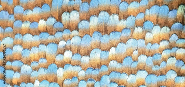 Fototapeta Stylish ornament from bird feathers ornament on fabric wallpaper. Interior design, bird feathers wallpaper texture, decor. The pattern on the fabric is bright feathers.	