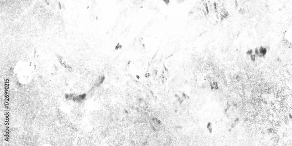 Fototapeta Abstract texture dust particle and dust grain on white background, resembling risograph print and layered fibers, Subtle halftone grunge urban texture,  monochrome black and white ink effect wall.