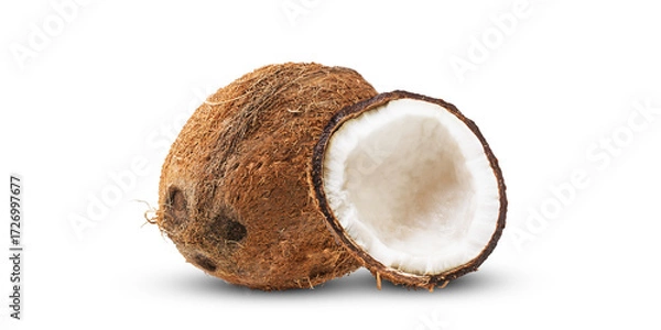 Obraz Coconut 