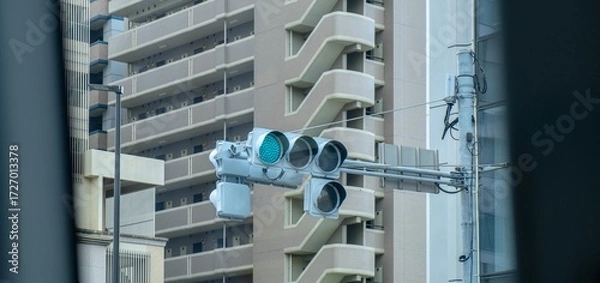 Obraz crosswalk and 신호등