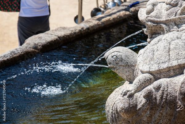Fototapeta turtle sculpture fountain with water streams at the Buddhist temple