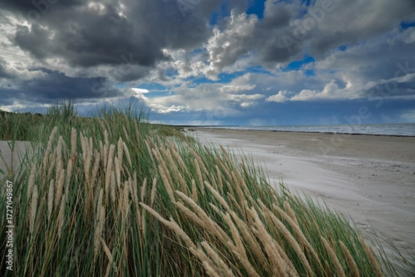 Fototapeta Grassy coast of Baltic sea, Liepaja, Latvia.
