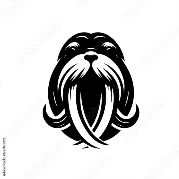 Obraz Stylized black and white walrus head emblem with tusks