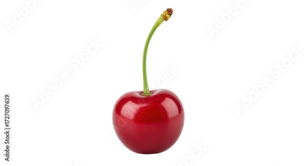 Obraz Isolated shiny red cherry with green stem and brown top, fresh and organic berry fruit