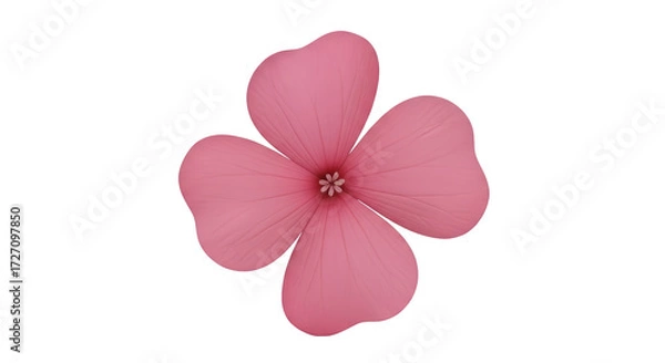Obraz Isolated pink flower with rounded petals, artistic rendering with textured design elements