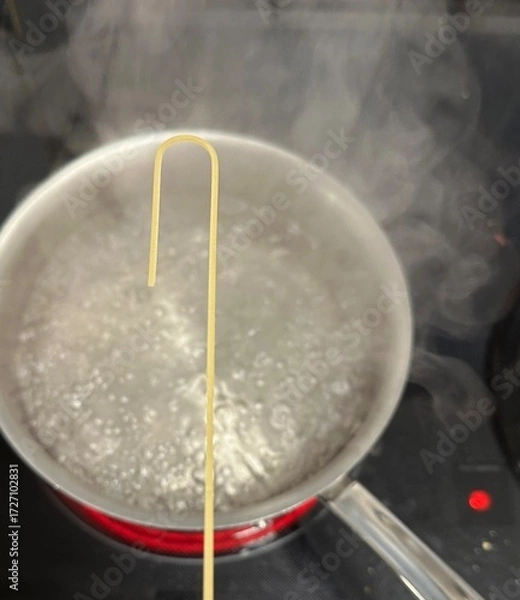 Obraz a steel pot of boiling water on the stove with one noodle being interesting