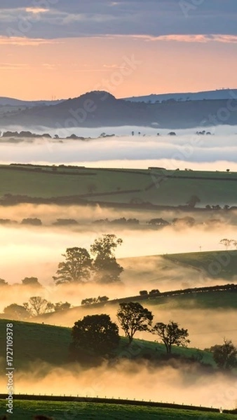 Fototapeta Misty valley landscape at sunrise