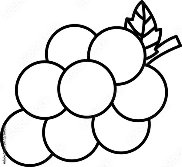 Fototapeta Vector Illustration of Cartoon Grape. Simple Outline Grape Coloring Page