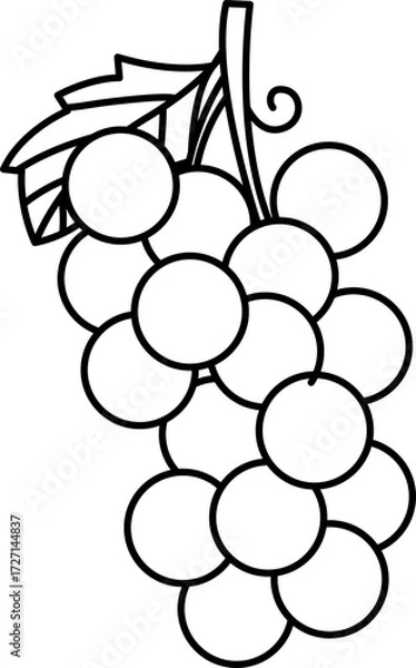 Fototapeta Vector Illustration of Cartoon Grape. Simple Outline Grape Coloring Page