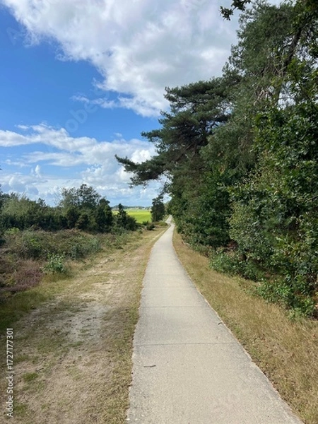Fototapeta Bicycle path around Lemelerberg