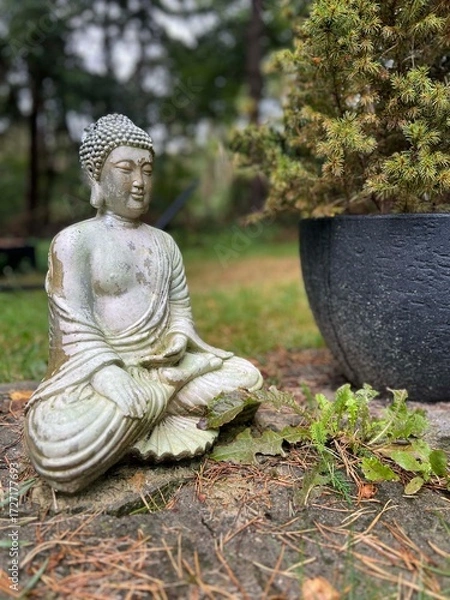 Fototapeta Buddha statue in the forest around Hellendoorn