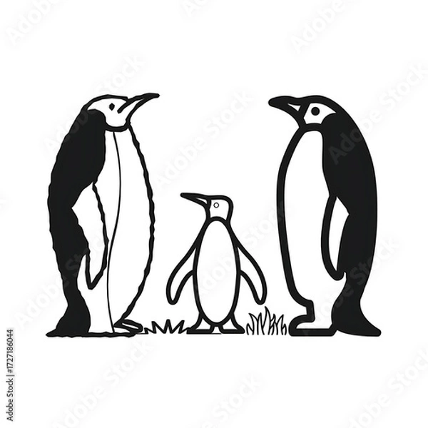 Fototapeta vector line art of three penguins, two large flanking a small , center one with grass beneath, like a penguin family on white background.