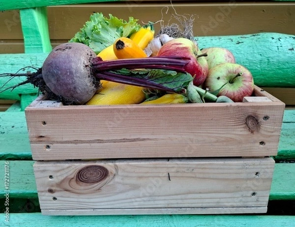 Fototapeta A wooden crate filled with autumn garden produce: apples, zucchinis, red beets, garlic resting in the crate. The colors are warm — reds, greens, earthy tones — and the wood of the crate has a rustic.
