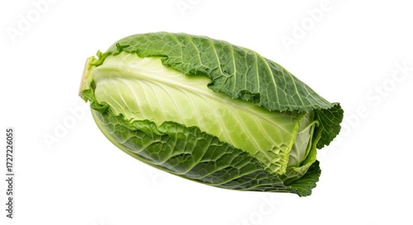 Fototapeta Isolated fresh green cabbage is ready to be cooked for a healthy and delicious meal