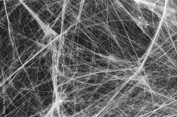 Fototapeta White spiderweb on the black background