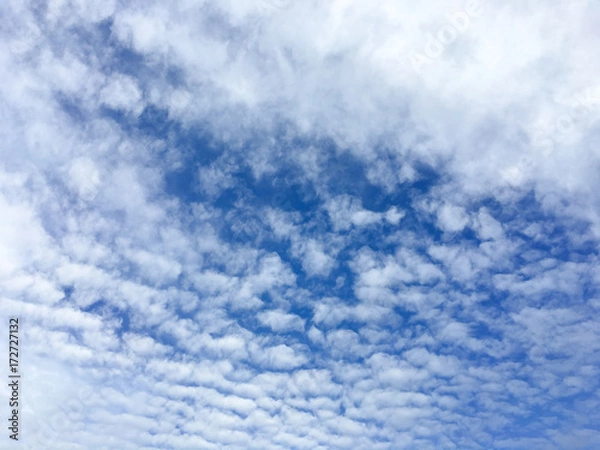 Obraz Blue sky with cloud