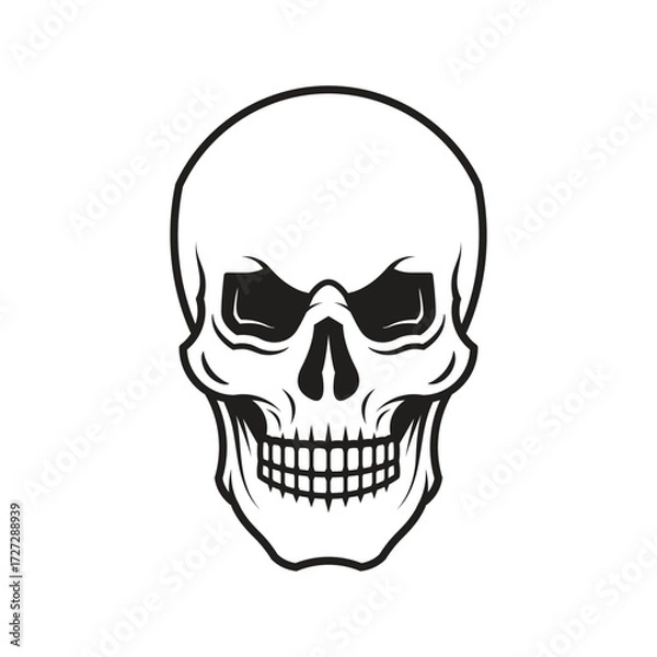 Fototapeta Detailed Human Skull Front View Outline
