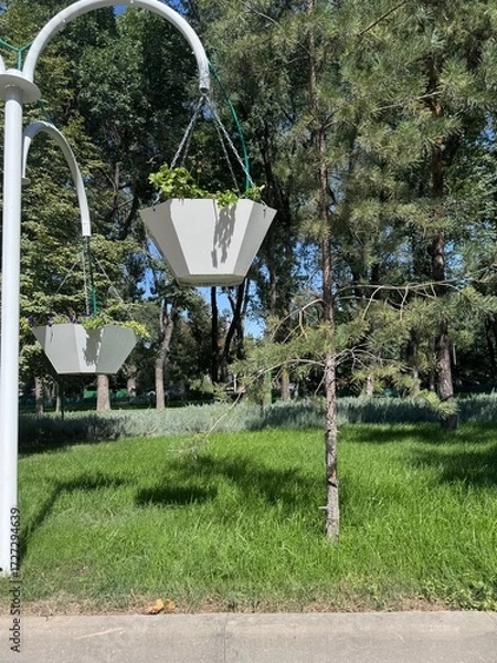 Fototapeta wheelbarrow in a garden