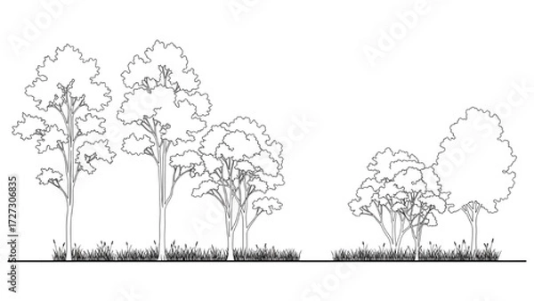 Fototapeta Architectural Tree Line Drawings – Minimal CAD Side View Forest Section Outline Set for Landscape Design AI EPS PNG JPEG.

